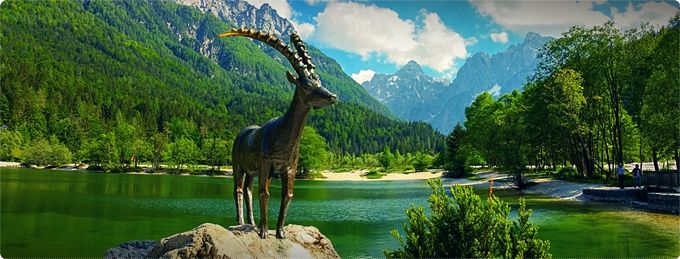 lago di bohinj slovenia