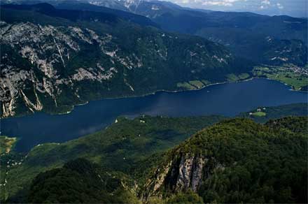 vogel bohinj