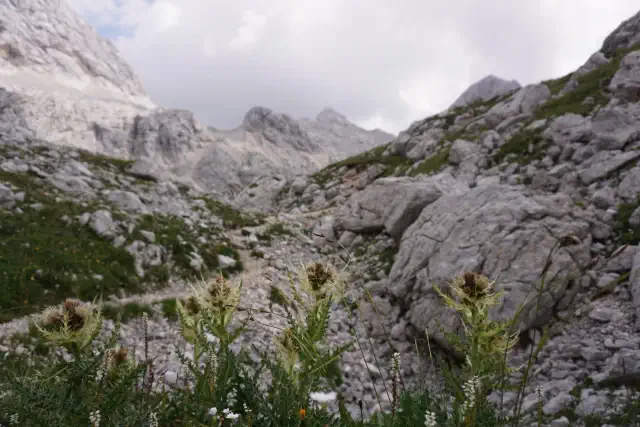Il Parco Nazionale Triglav è un vero e proprio santuario della biodiversità alpina. 