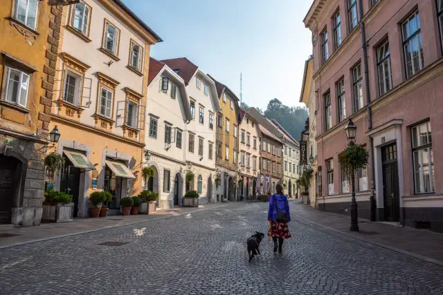documenti cani Slovenia