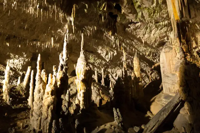 Grotte famose Slovenia