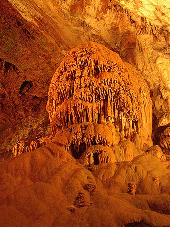 grotte di postojna